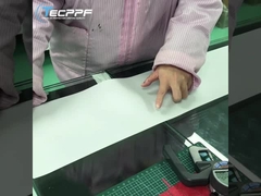 TECPPF-Produktprüfung